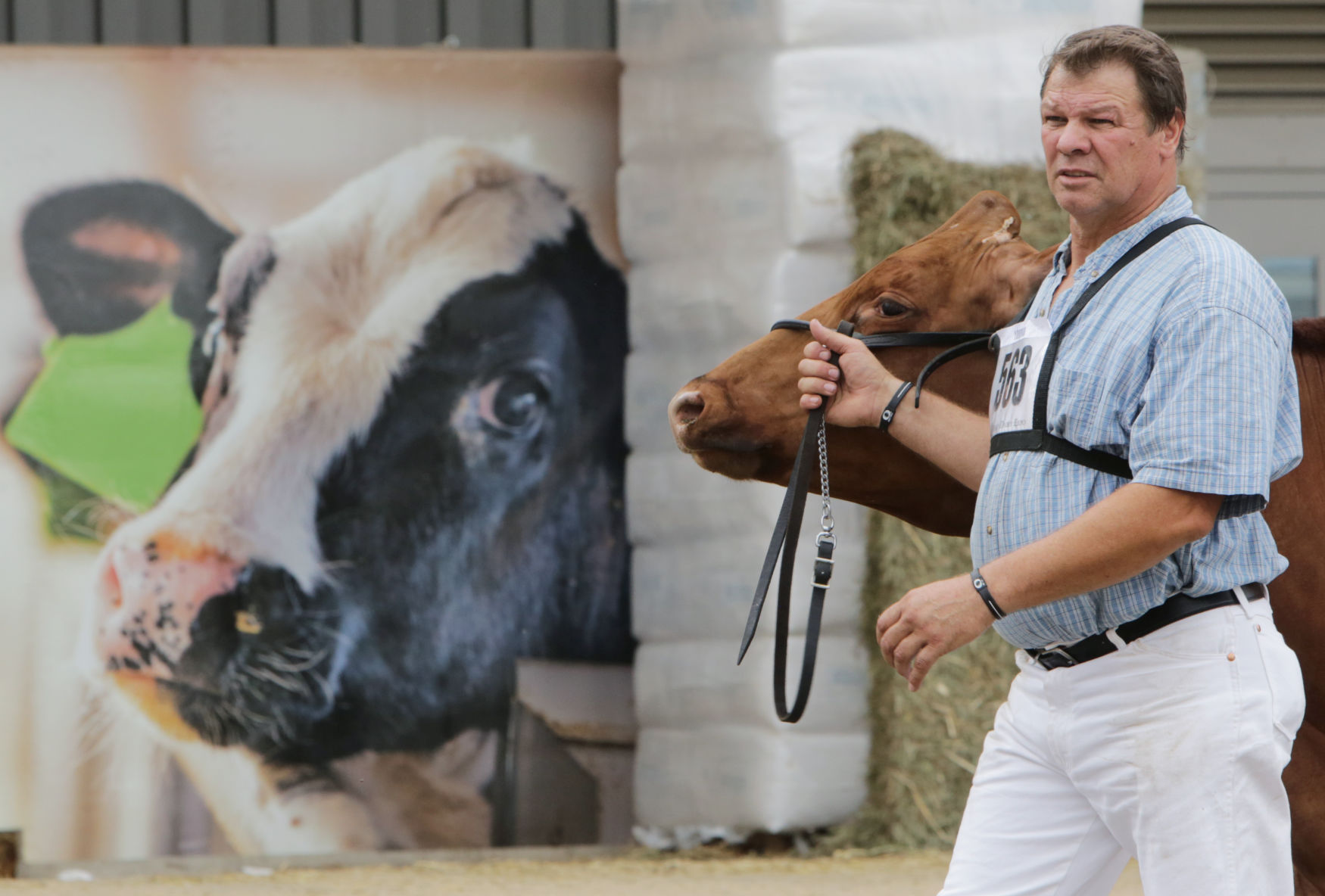 World Dairy Expo